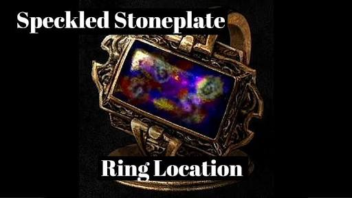 Speckled-stoneplate-ring-dark-souls-3