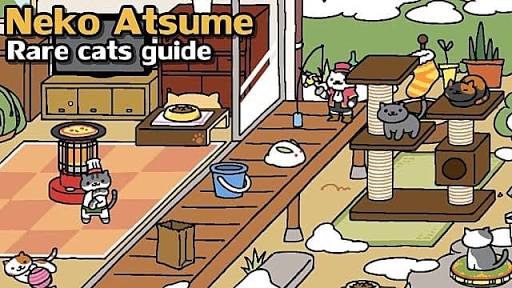 neko atsume tips