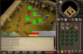 Osrs-money-making-killing-flesh-crawlers 