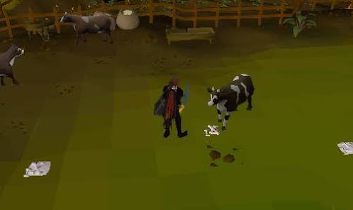 Osrs-money-making-collect-and-tan-cowhides 